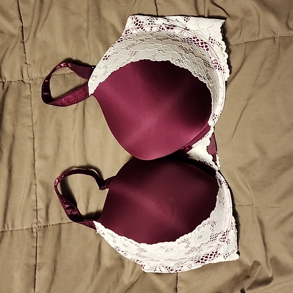 Torrid Bra